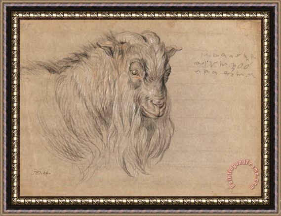 James Ward Study of The Head of a Ram Framed Print