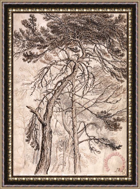 James Ward Study of Trees Framed Painting