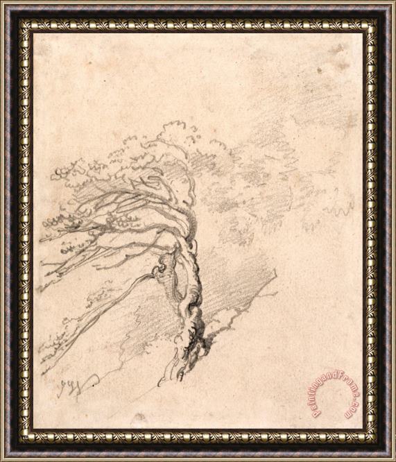 James Ward Tree on a Hillside Framed Print