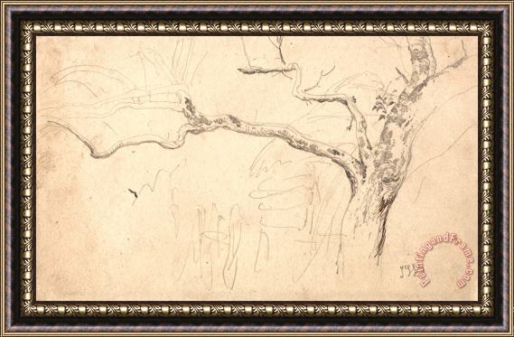 James Ward Tree Study Framed Painting