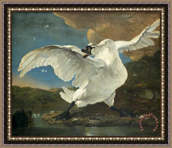 Jan Asselyn The Threatened Swan Framed Print