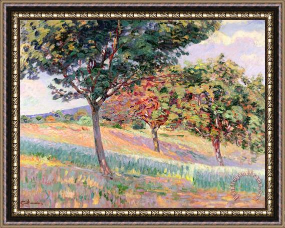 Jean Baptiste Armand Guillaumin Orchard At St Cheron Framed Painting