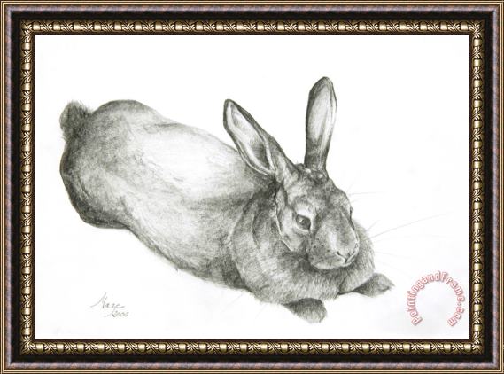 Jeanne Maze Rabbit Framed Painting
