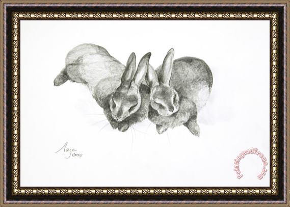 Jeanne Maze Rabbits Sleeping Framed Print