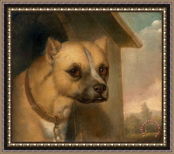 J.m. Crossland Staffordshire Bull Terrier Belonging to The Rev. John Gower Framed Painting