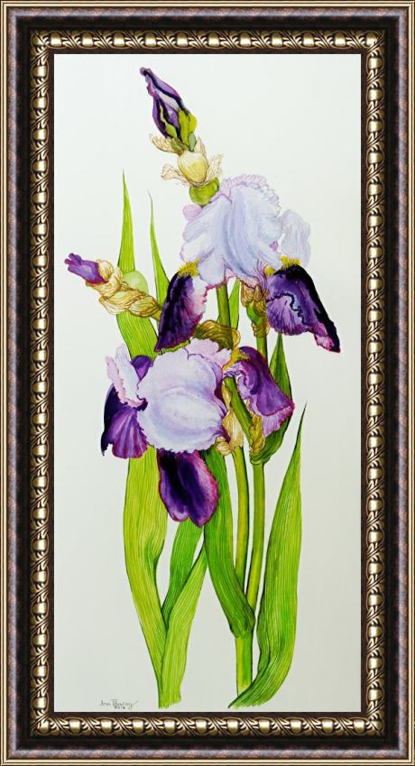 Joan Thewsey Mauve And Purple Irises With Two Buds Framed Painting