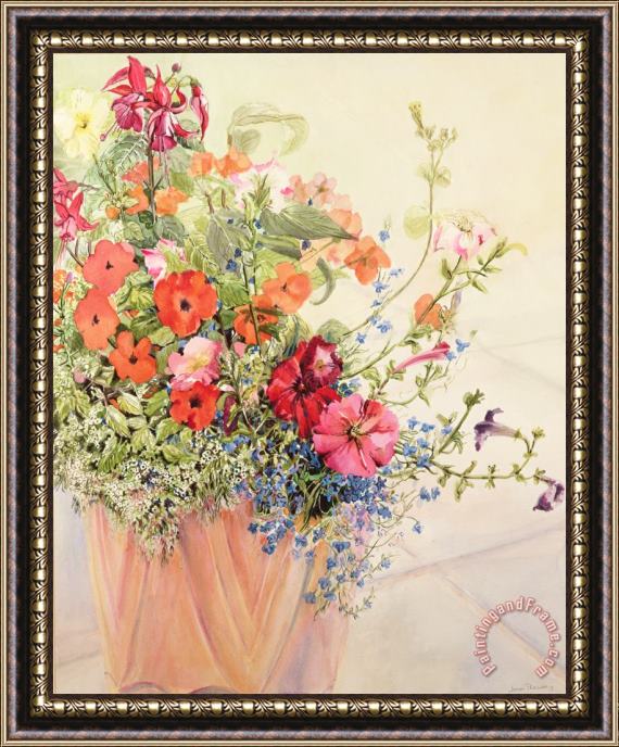 Joan Thewsey Petunias Lobelias Busy Lizzies And Fuschia In A Terracotta Pot Framed Painting