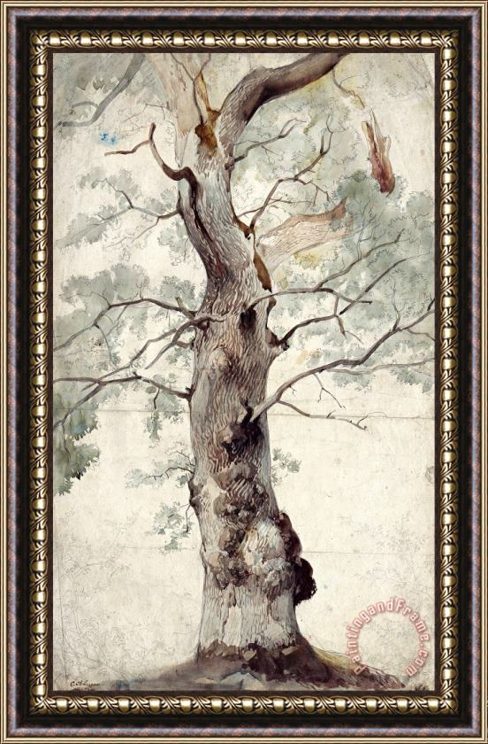Johann Caspar Nepomuk Scheuren Study of a Tree Framed Painting
