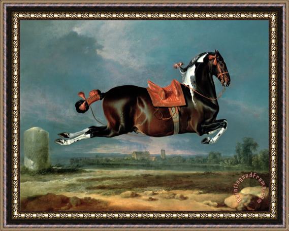 Johann Georg Hamilton The Piebald Horse Framed Painting
