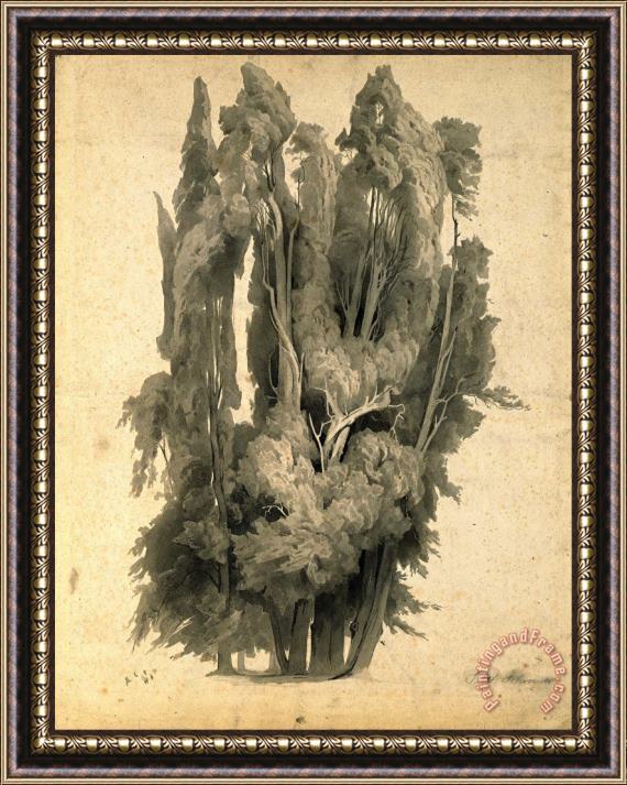 Johann Wilhelm Schirmer Cypresses in The Park at Villa D'este in Tivoli Framed Print