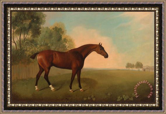 John Boultbee A Bay Horse in a Field Framed Painting