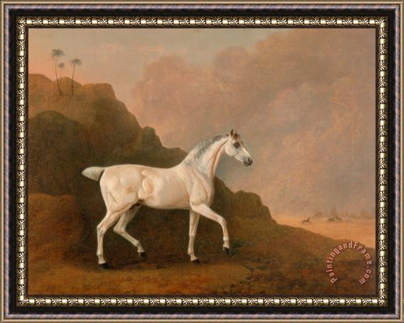 John Boultbee A Grey Arab Stallion in a Desert Landscape Framed Painting