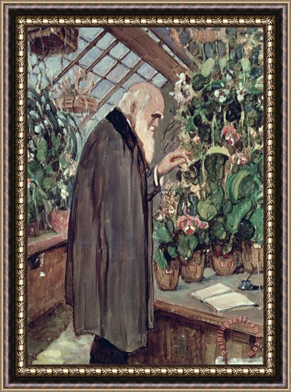 John Collier Charles Robert Darwin Framed Painting