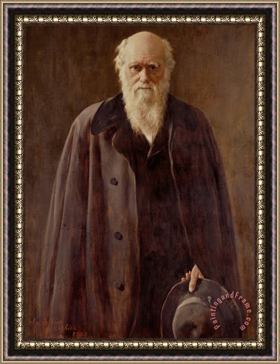 John Collier Portrait Of Charles Darwin Framed Painting