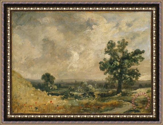 John Constable Petunias Framed Painting