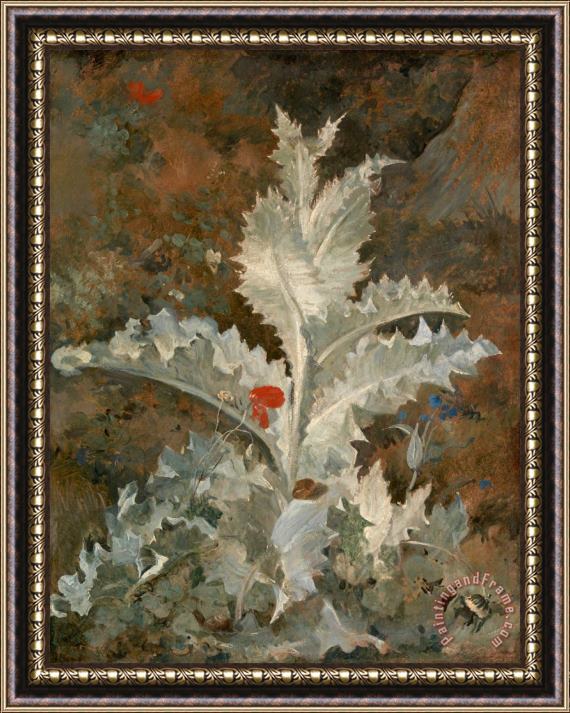 John Crome A Thistle Framed Painting