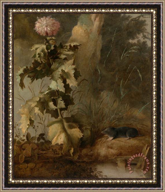 John Crome An Egyptian Poppy And a Water Mole Framed Painting