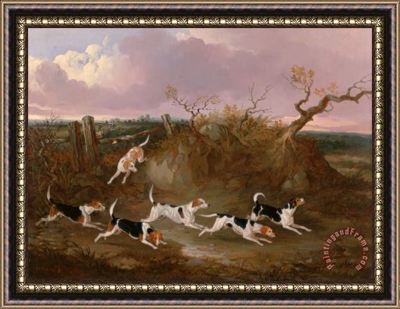 John Dalby Beagles in Full Cry Framed Painting
