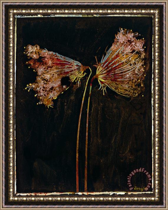 John Douglas Floral Negative II Framed Print