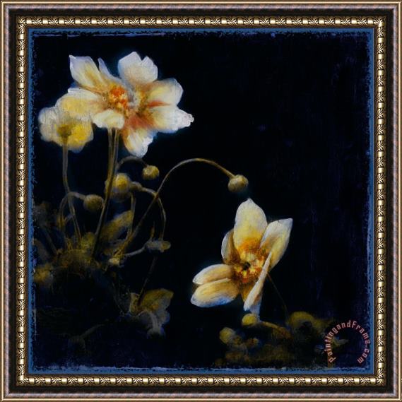 John Douglas Midsummer Night Bloom III Framed Painting