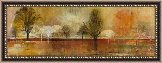 John Douglas Tree Shadows II Framed Painting