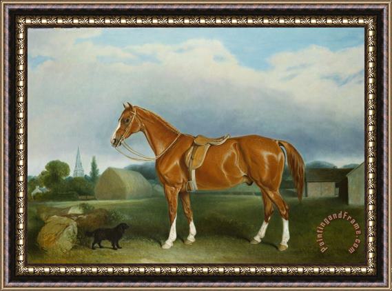 John E Ferneley A Chestnut Hunter and a Spaniel by Farm Buildings Framed Print