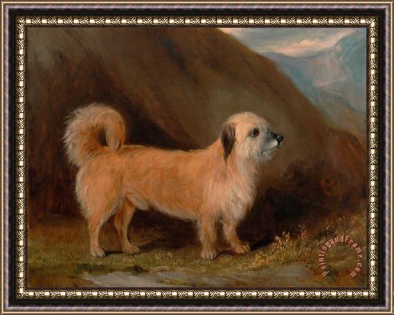 John E. Ferneley Jr. A Dandie Dinmont Terrier Framed Painting