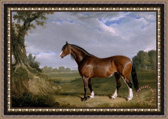 John Frederick Herring A Clydesdale Stallion Framed Painting