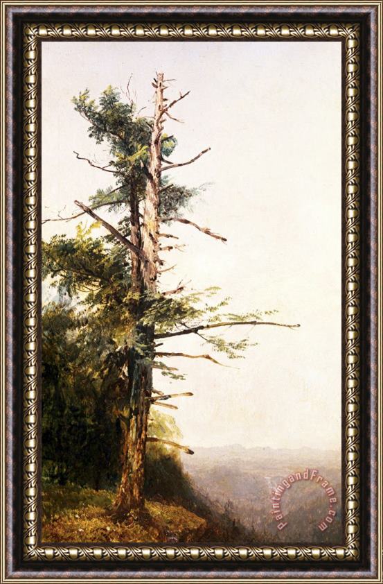 John Frederick Kensett Dying Tree on Mountaintop Framed Painting