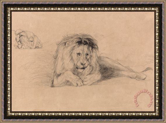 John Frederick Lewis Study of a Lion And Study of a Lioness' Head Framed Print