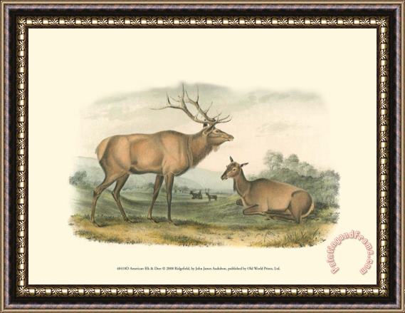 John James Audubon American Elk And Deer Framed Print