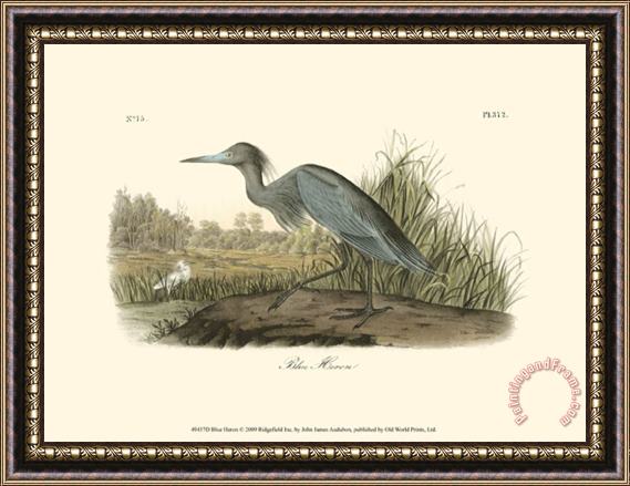 John James Audubon Blue Heron Framed Painting