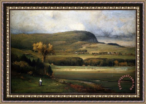John James Audubon New England Valley 1878 Framed Print