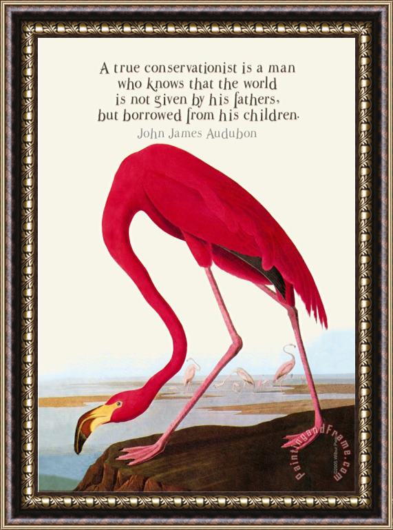 John James Audubon True Conservationist Framed Painting