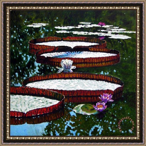 John Lautermilch Lily Pad Highlights Framed Print