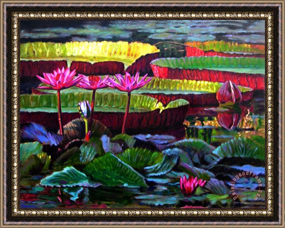 John Lautermilch Patterns of Color and Light Framed Print