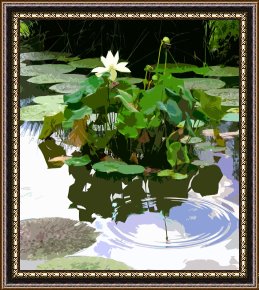 A Pond in The Morvan Framed Prints - Ripples on the Lotus Pond by John Lautermilch