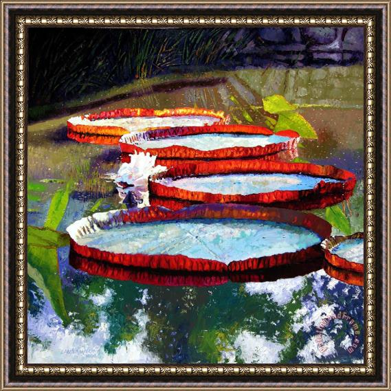 John Lautermilch Summer Sunlight on Lily Pads Framed Print