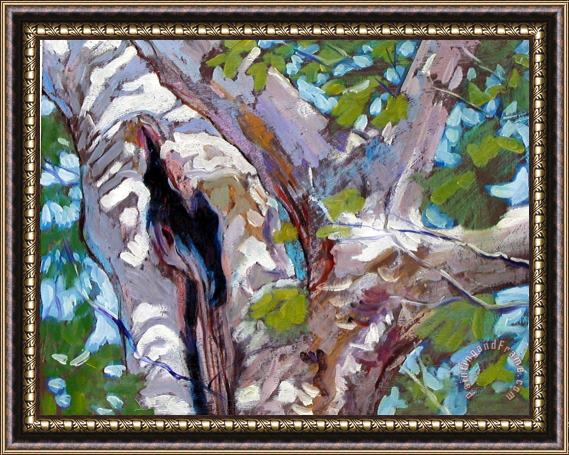 John Lautermilch Sunlight on Sycamore Framed Painting