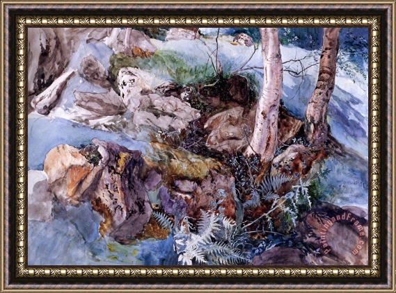 John Ruskin Study of The Rocks And Ferns, Crossmouth Framed Painting