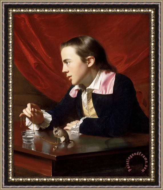 John Singleton Copley A Boy with a Flying Squirrel (henry Pelham) Framed Painting