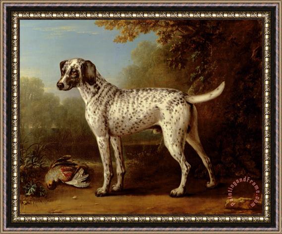 John Wootton Grey spotted hound Framed Print
