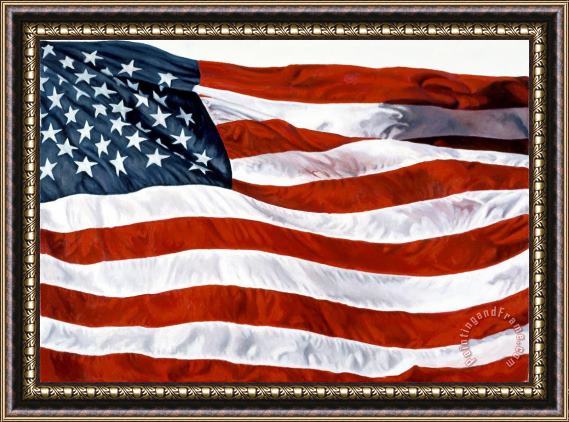 John Zaccheo American Flag Framed Painting