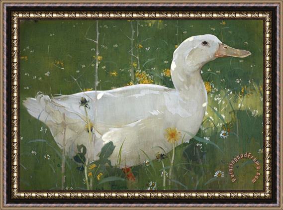 Joseph Crawhall The White Drake Framed Painting