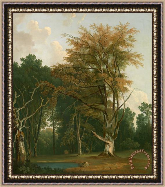 Joseph Farington Trees in a Woodland Glade Framed Painting