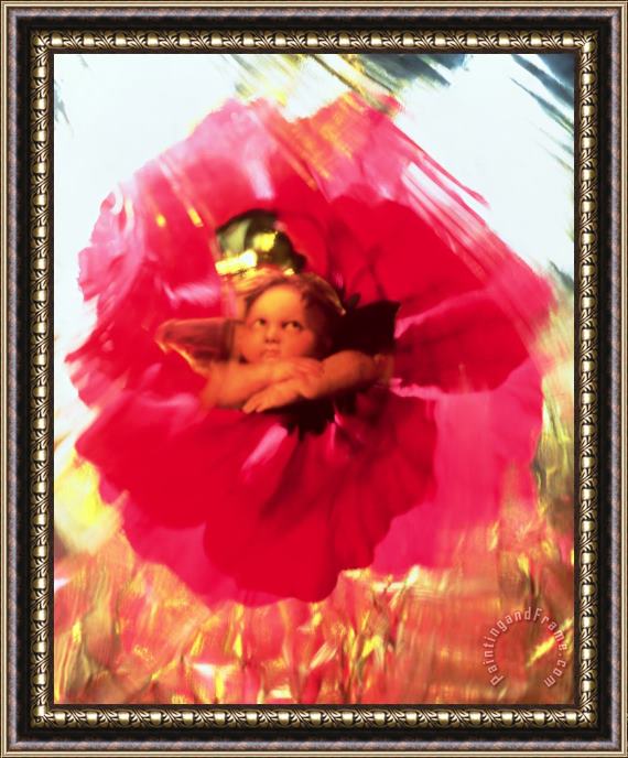 Katherine Fawssett Angel And Poppy Framed Painting