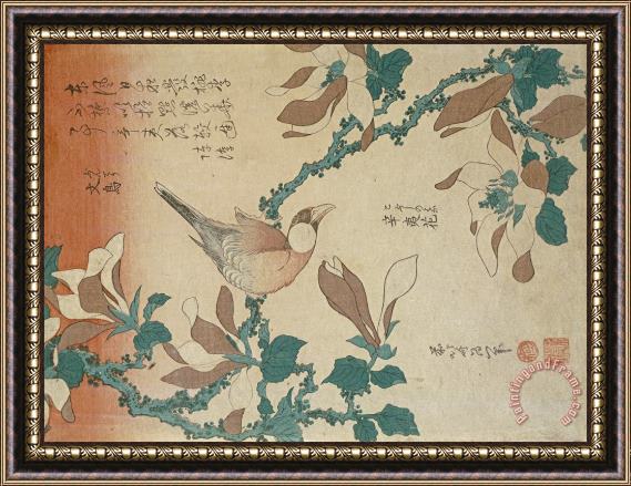 Katsushika Hokusai A Paddy Bird Perched on a Flowering Magnolia Branch Framed Print