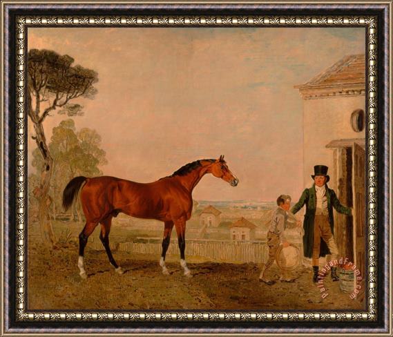 Lambert Marshall 'sultan' at The Marquess of Exeter's Stud, Burghley House Framed Print