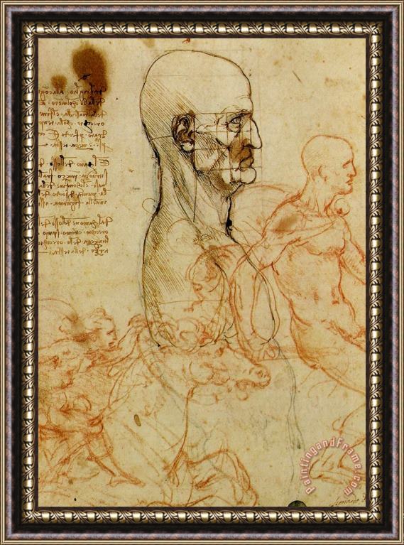 Leonardo da Vinci Anatomical Study Of A Man's Head Framed Painting