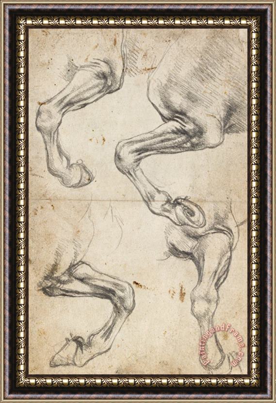 Leonardo da Vinci Study For Horse Legs Framed Painting